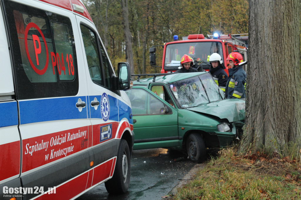 Wypadek na trasie Skoraszewice - Wilkonice