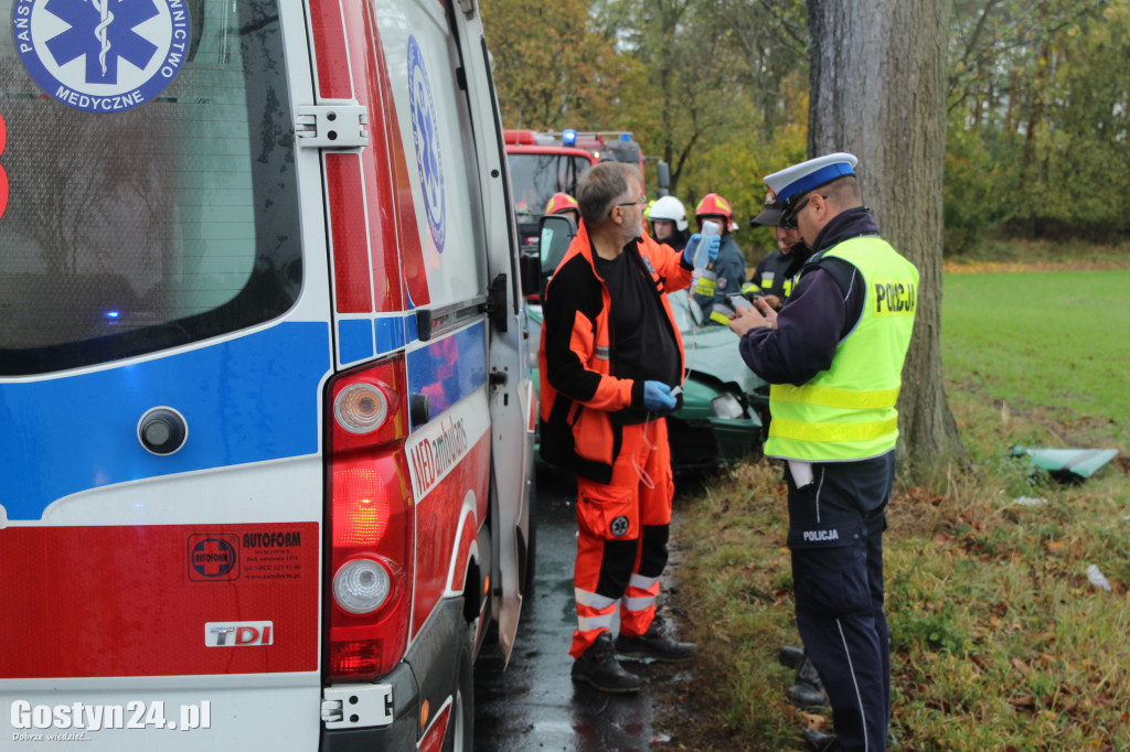 Wypadek na trasie Skoraszewice - Wilkonice