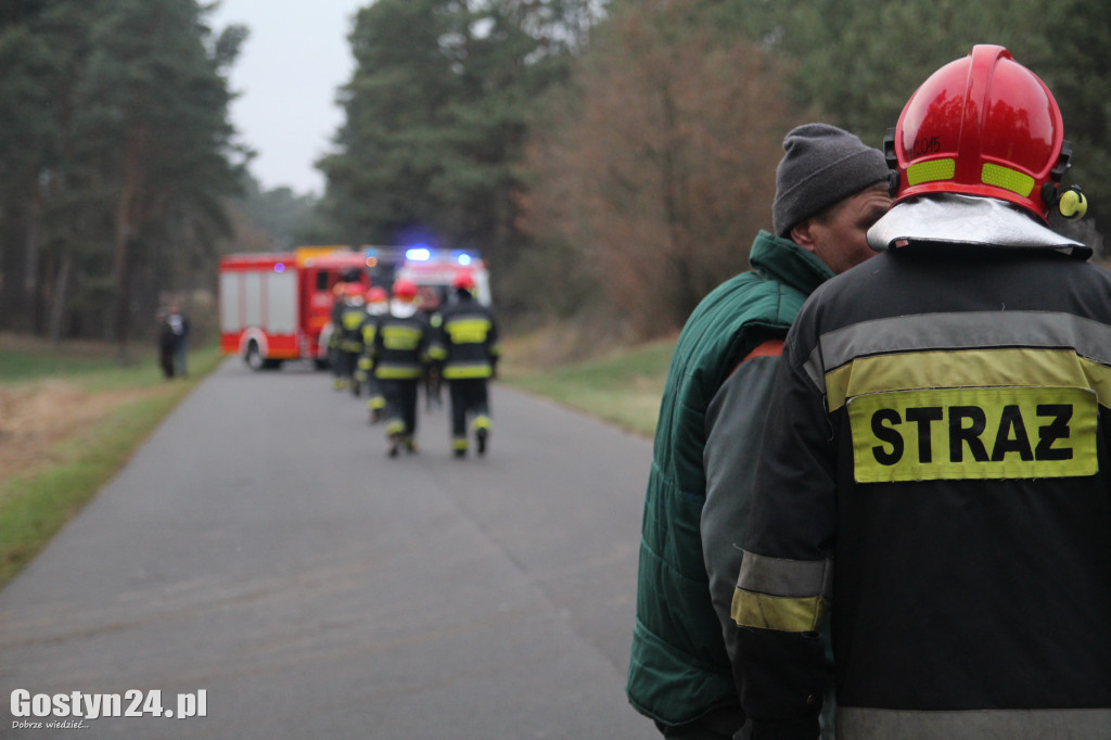 Wypadek przy pracy! Drzewo przygniotło pilarza