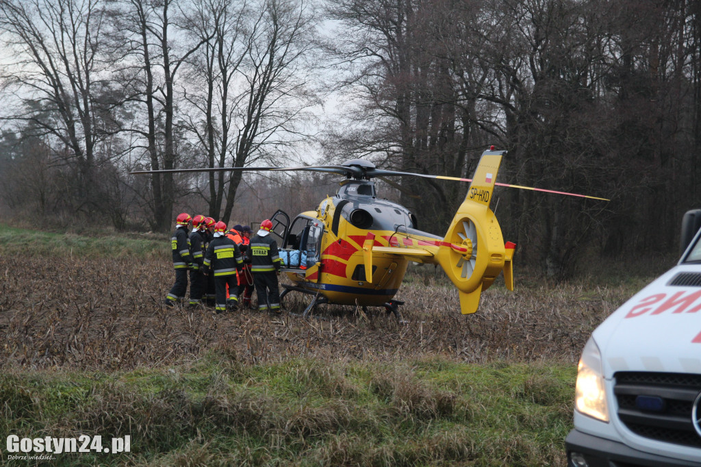 Wypadek przy pracy! Drzewo przygniotło pilarza