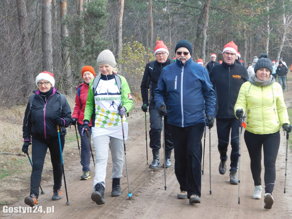 Trasa wiodła leśnymi duktami