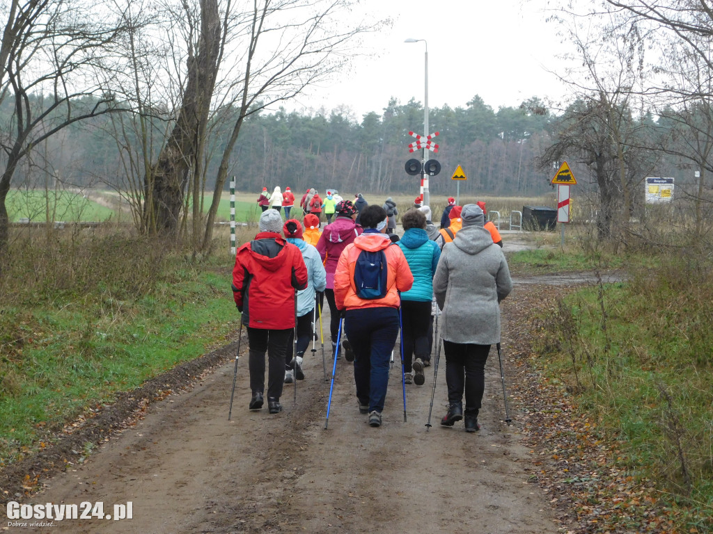 Trasa wiodła leśnymi duktami