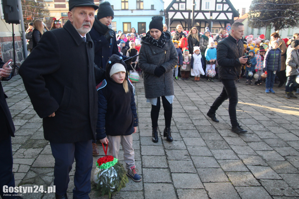 Na ponieckim rynku stanęła piękna choinka