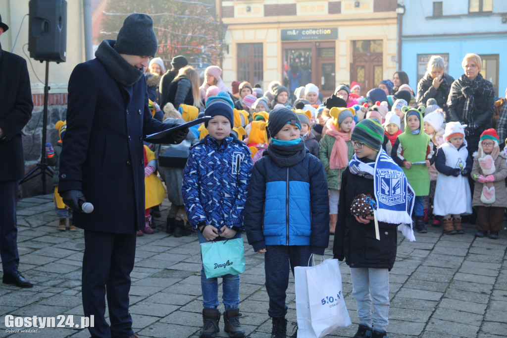 Na ponieckim rynku stanęła piękna choinka