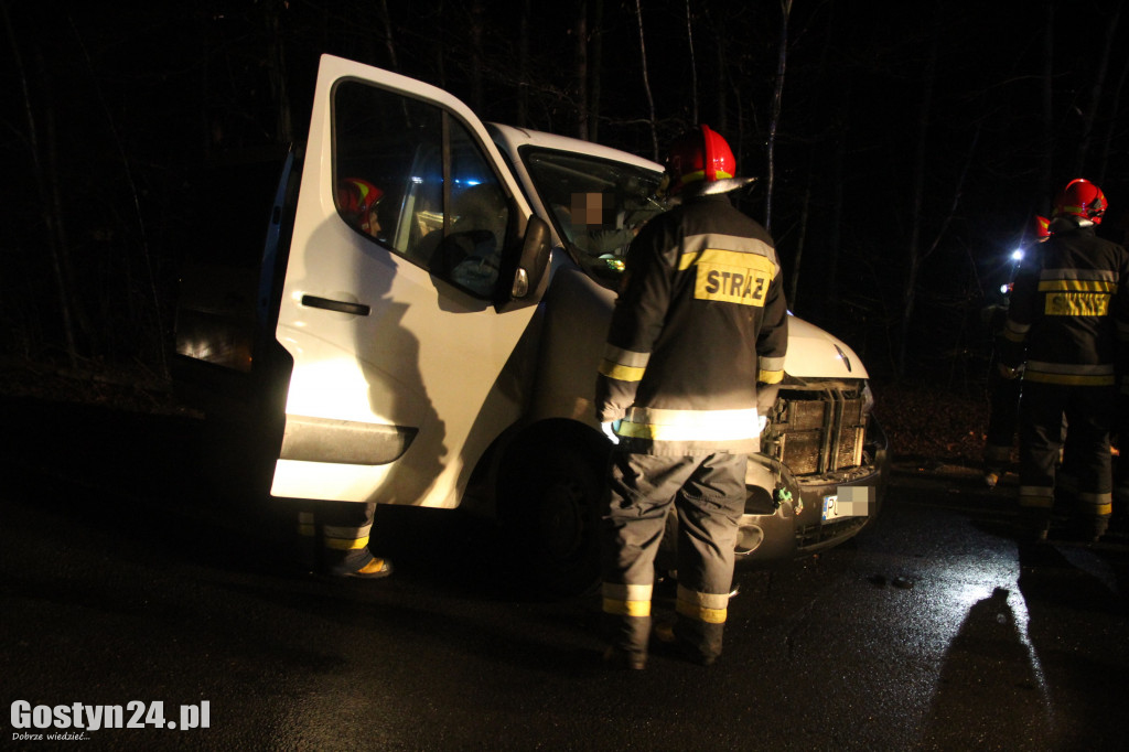Wypadek busa na trasie Pogorzela - Pępowo