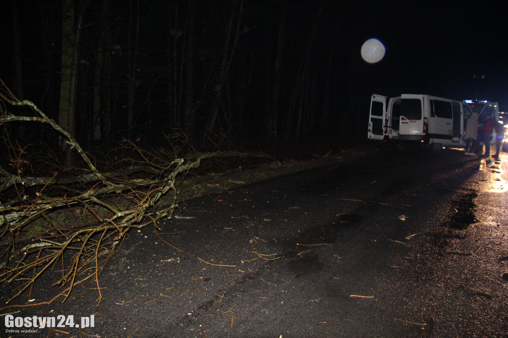Wypadek busa na trasie Pogorzela - Pępowo