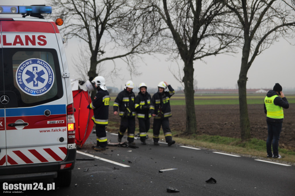 Śmiertelny wypadek na wojewódzkiej 434