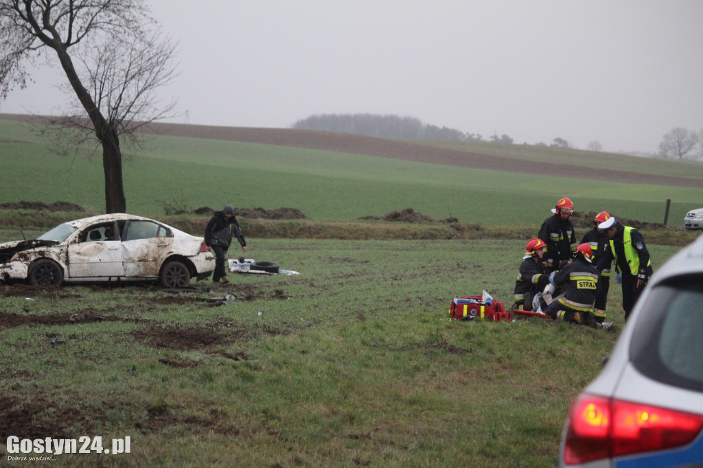 Wypadek na drodze wojewódzkiej 434