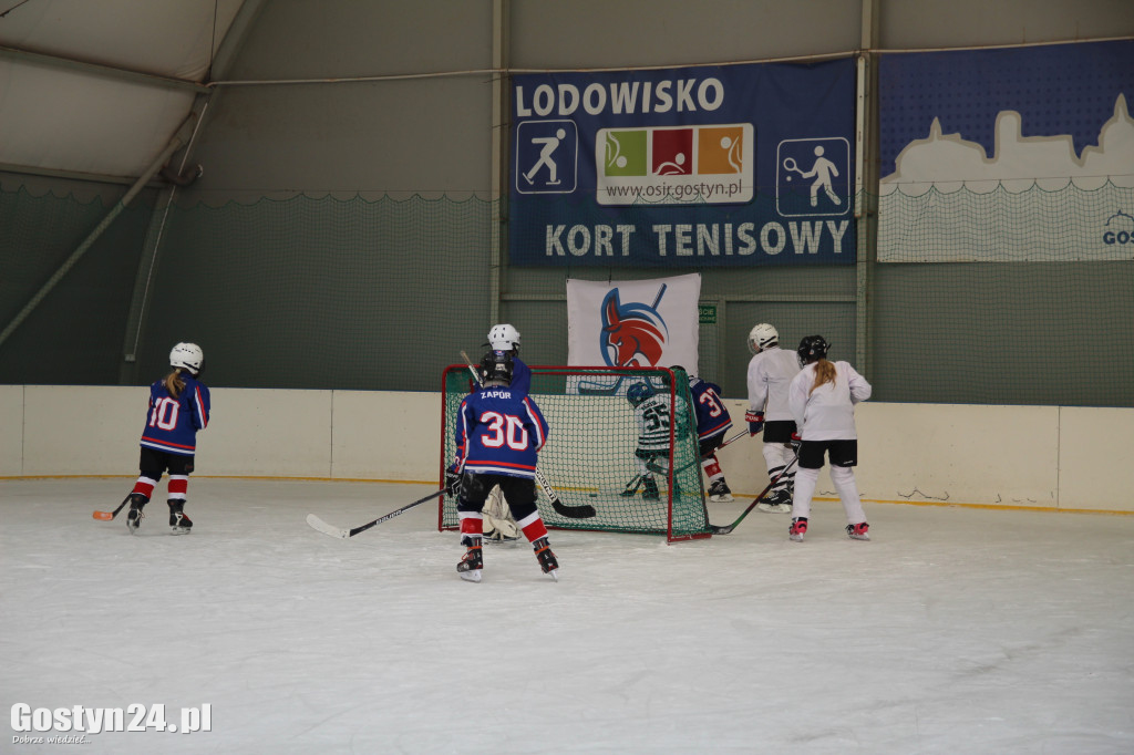 Gostyński Turniej Mini-Hokeja