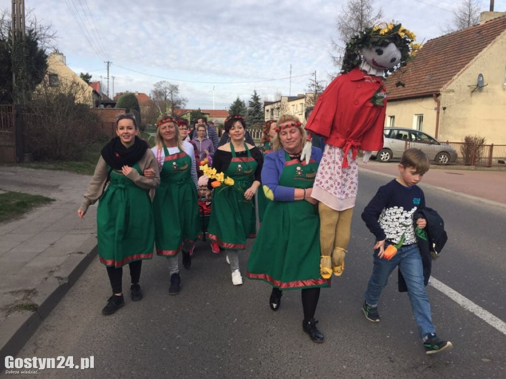 Przeganiali zimę z Brzezia