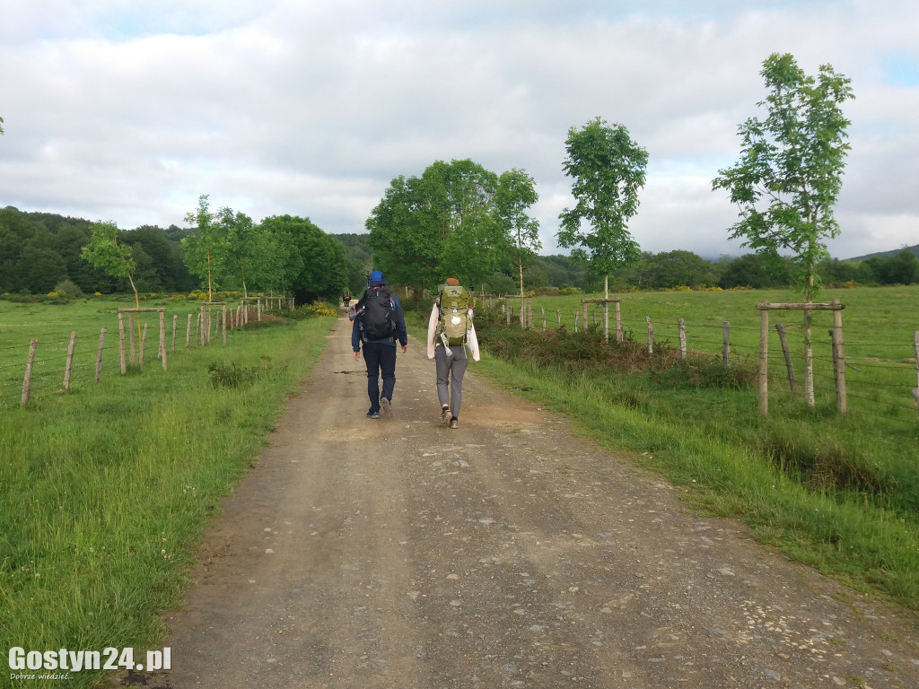 Wzięła plecak i przeszła 700 km... pieszo