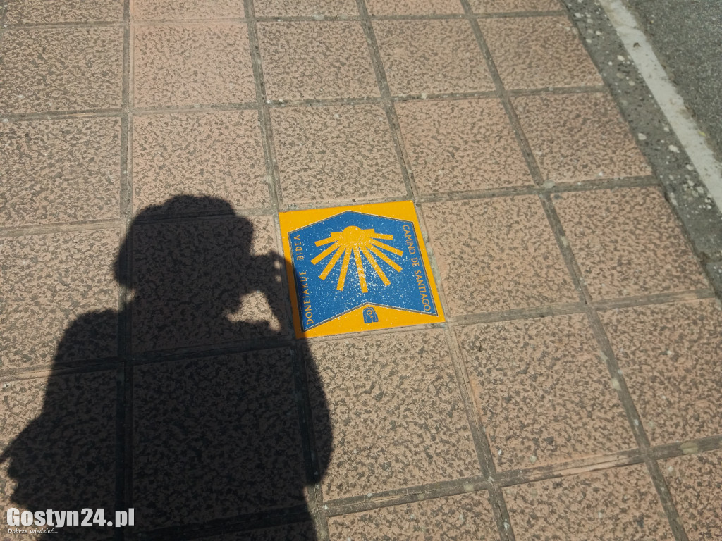 Wzięła plecak i przeszła 700 km... pieszo
