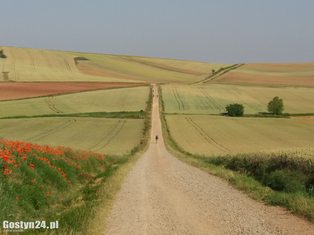 Wzięła plecak i przeszła 700 km... pieszo