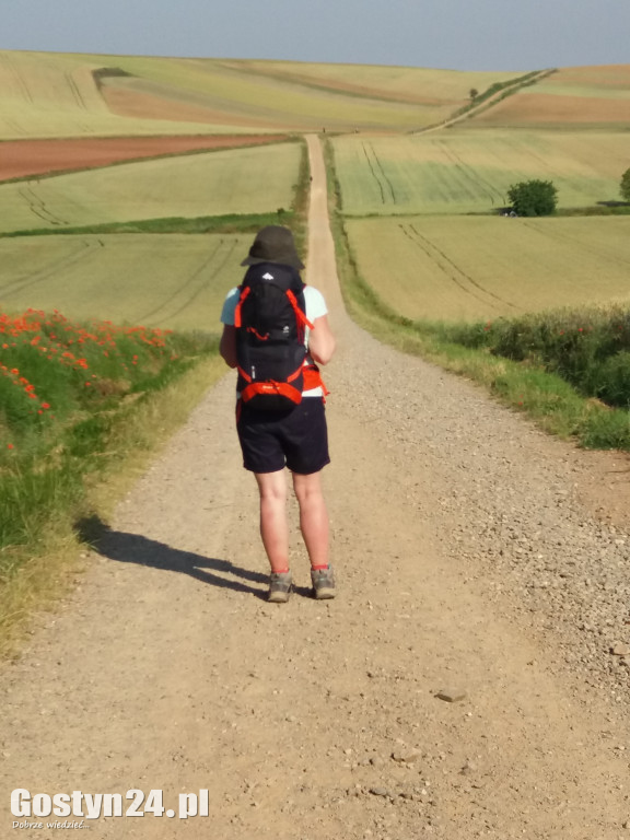 Wzięła plecak i przeszła 700 km... pieszo