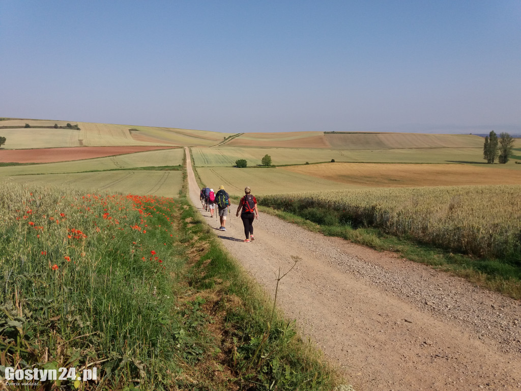 Wzięła plecak i przeszła 700 km... pieszo