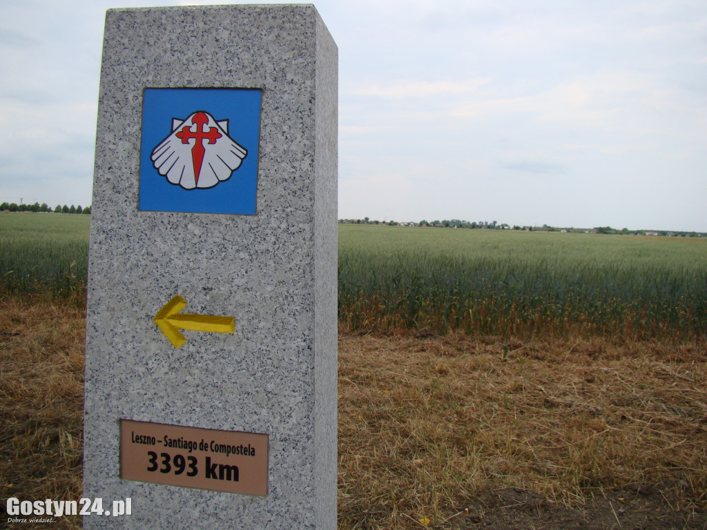 Wzięła plecak i przeszła 700 km... pieszo