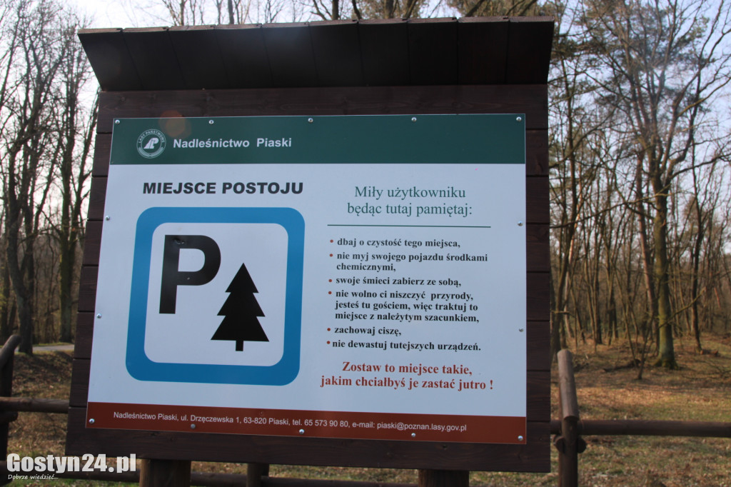 Niedzielne sprzątanie lasu w Gostyniu