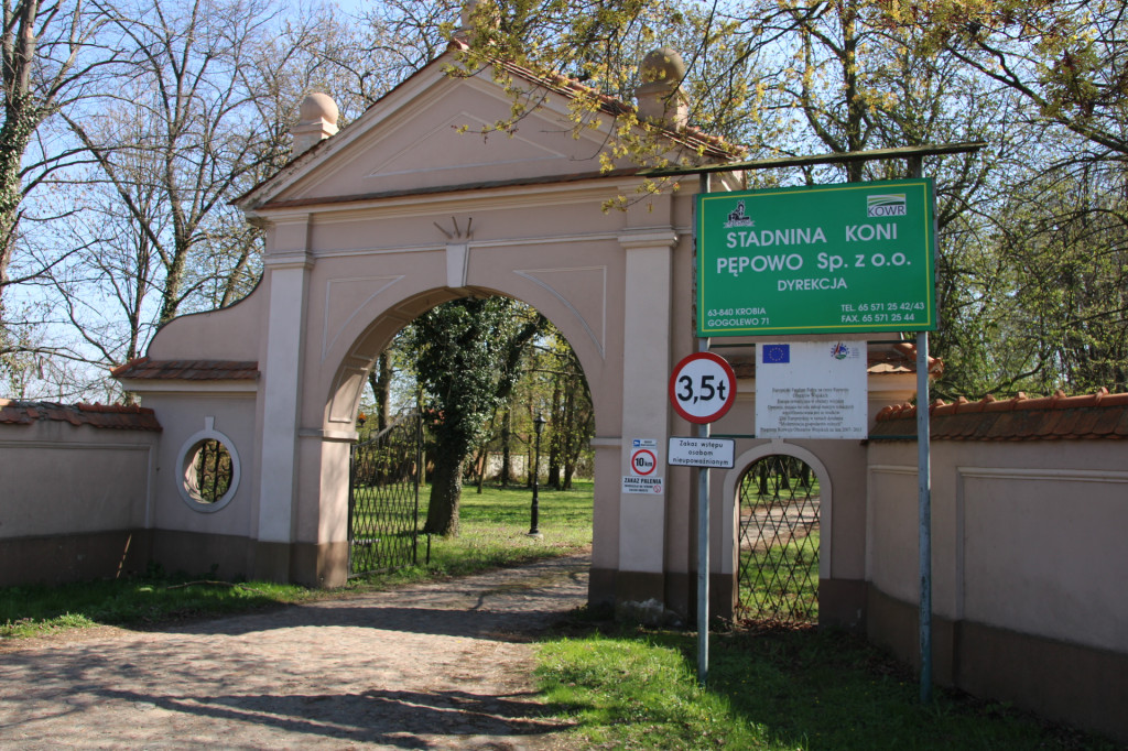 Stadnina Koni w Pępowie została wyróżniona