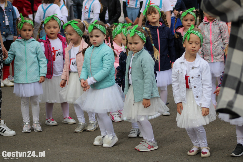 Majówka w gostyńskim parku miejskim
