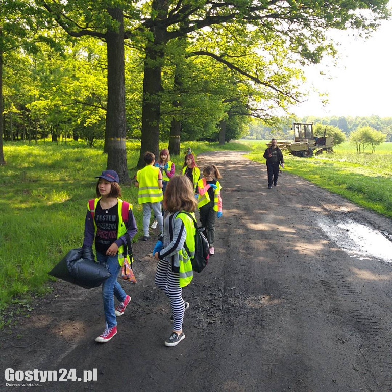 Zbierali śmieci w lesie w Międzyborzu