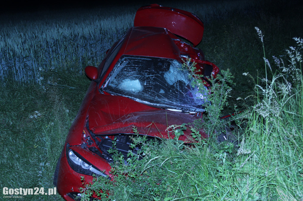 Śmiertelny wypadek na trasie Gostyń-Poniec
