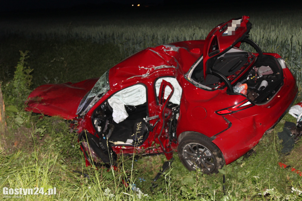 Śmiertelny wypadek na trasie Gostyń-Poniec