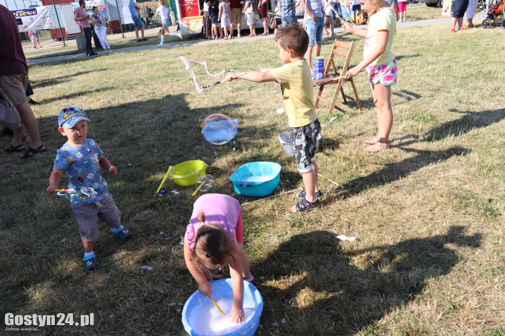 IX Piknik na gostyńskim Pożegowe