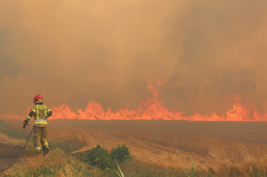 Gigantyczny pożar w gminie Gostyń