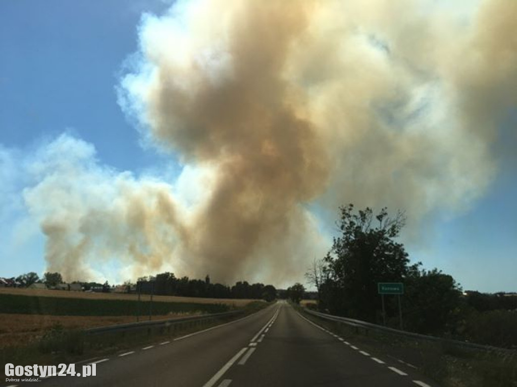 Gigantyczny pożar w gminie Gostyń