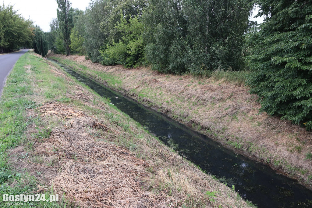Śmieci w Kani, bobry pobuodwały tamy