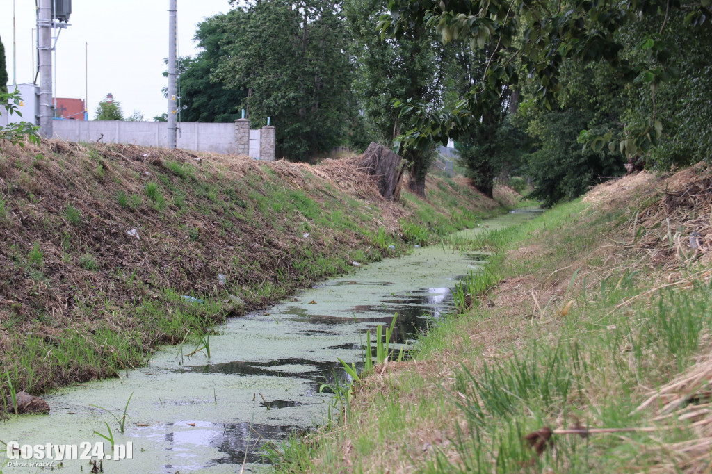 Śmieci w Kani, bobry pobuodwały tamy