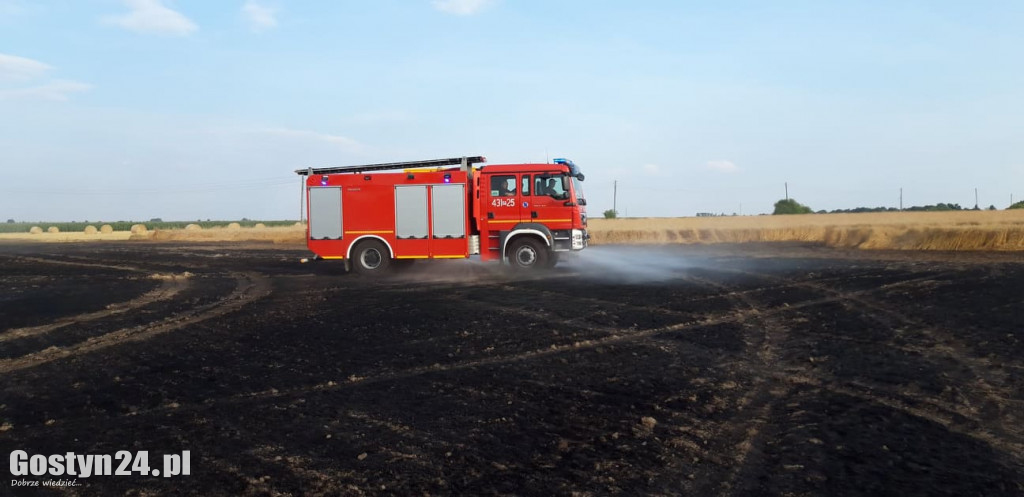 Pożar pola pod Borkiem Wlkp.
