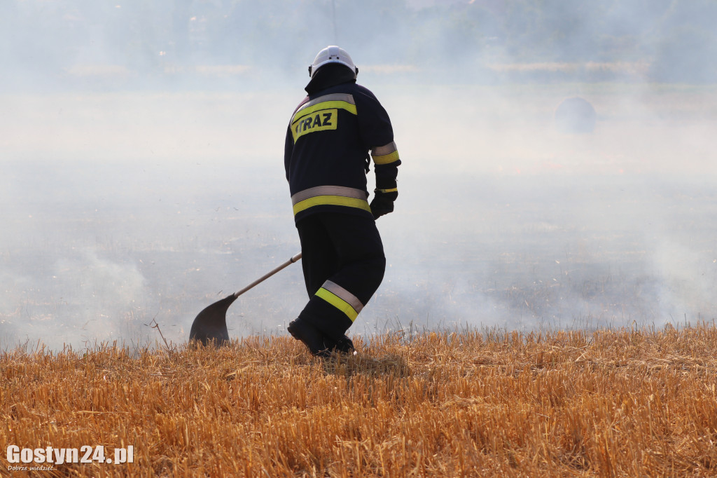 Pożar ścierniska, spłonęła też prasa do słomy