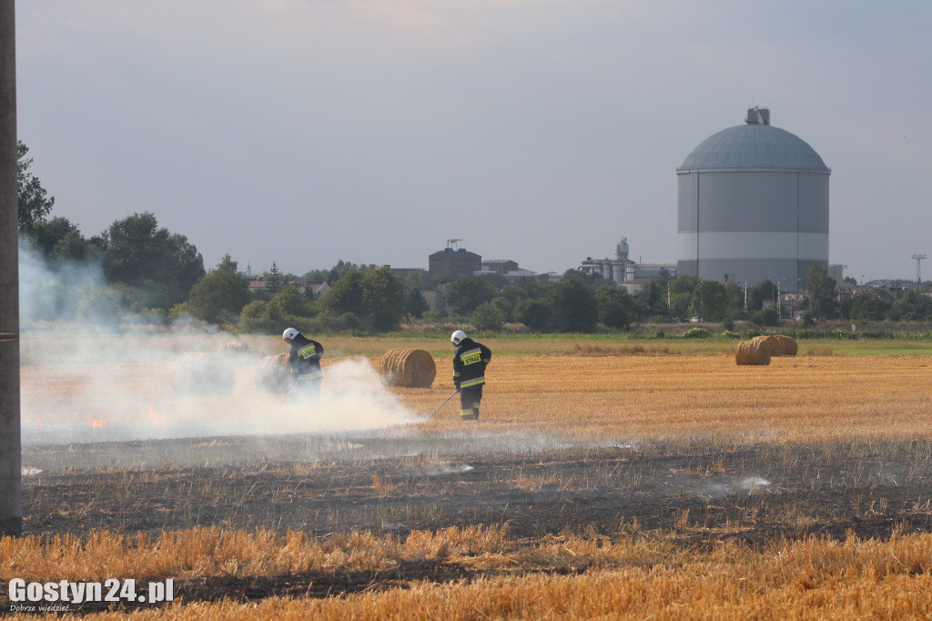 Pożar ścierniska, spłonęła też prasa do słomy