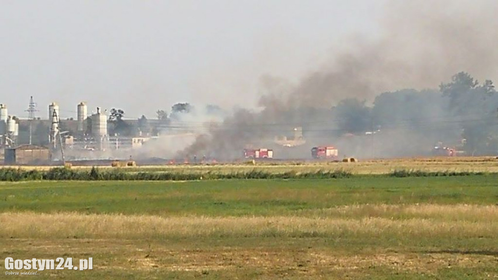 Pożar ścierniska, spłonęła też prasa do słomy
