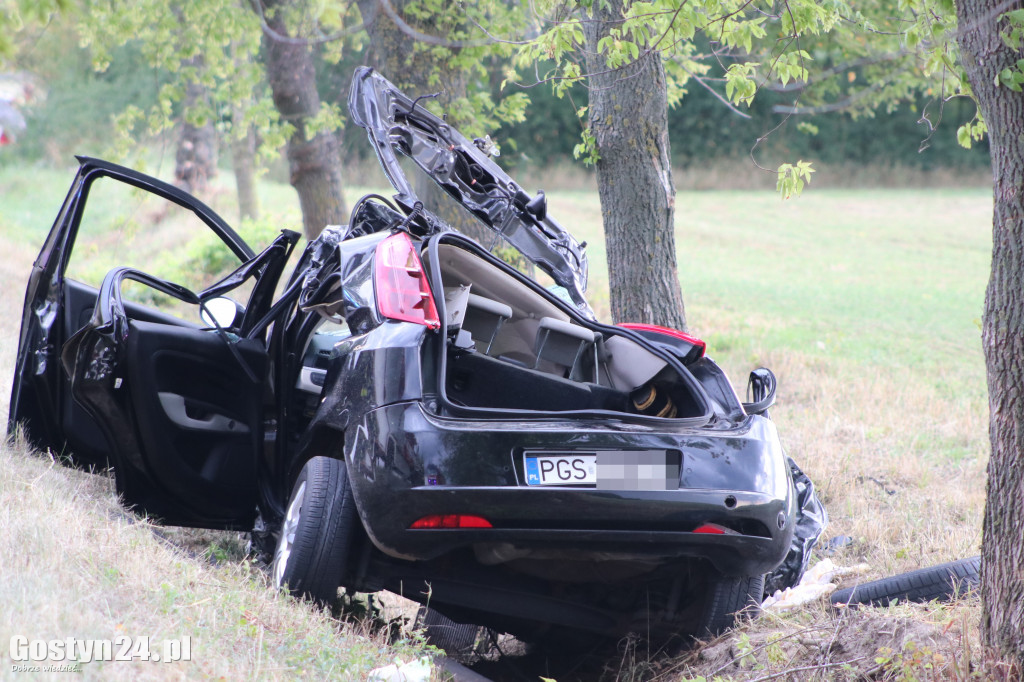 Wypadek na trasie Pogorzela - Piaski