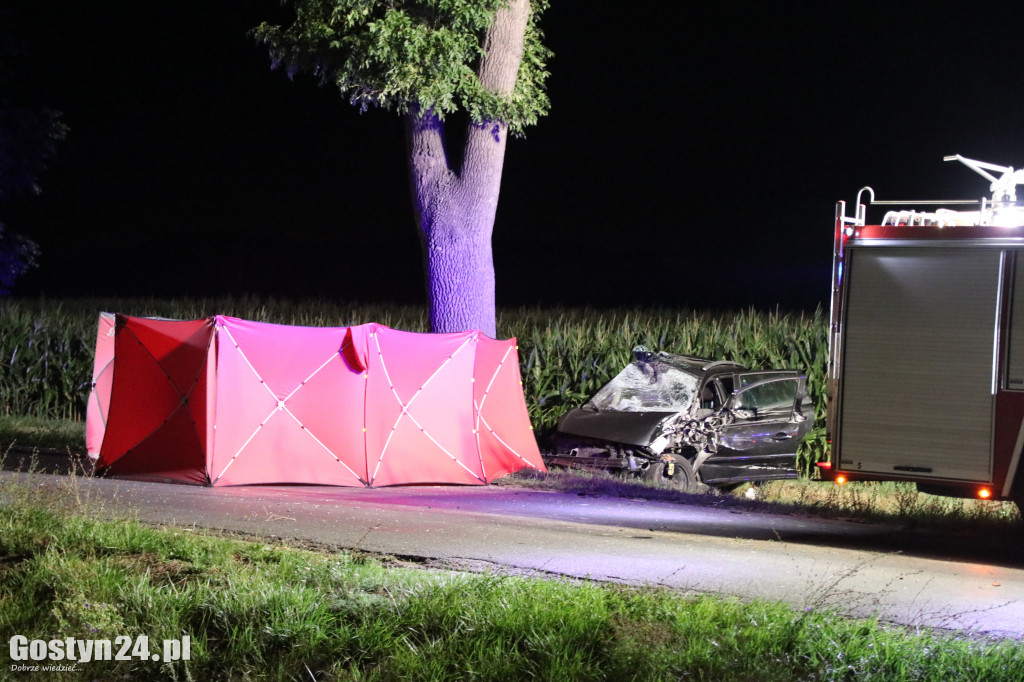 Tragiczny wypadek. Nie żyje 19-latka