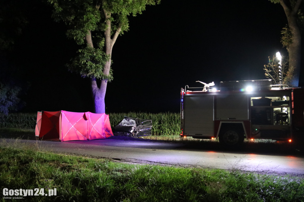 Tragiczny wypadek. Nie żyje 19-latka