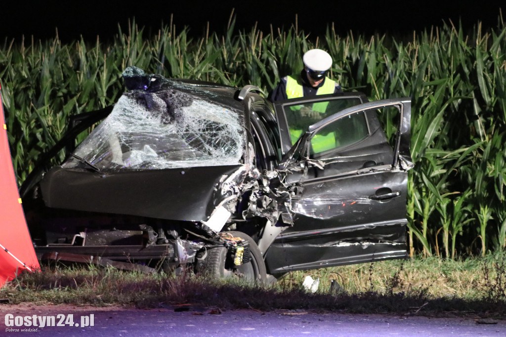 Tragiczny wypadek. Nie żyje 19-latka
