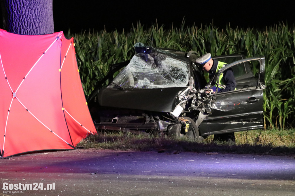 Tragiczny wypadek. Nie żyje 19-latka