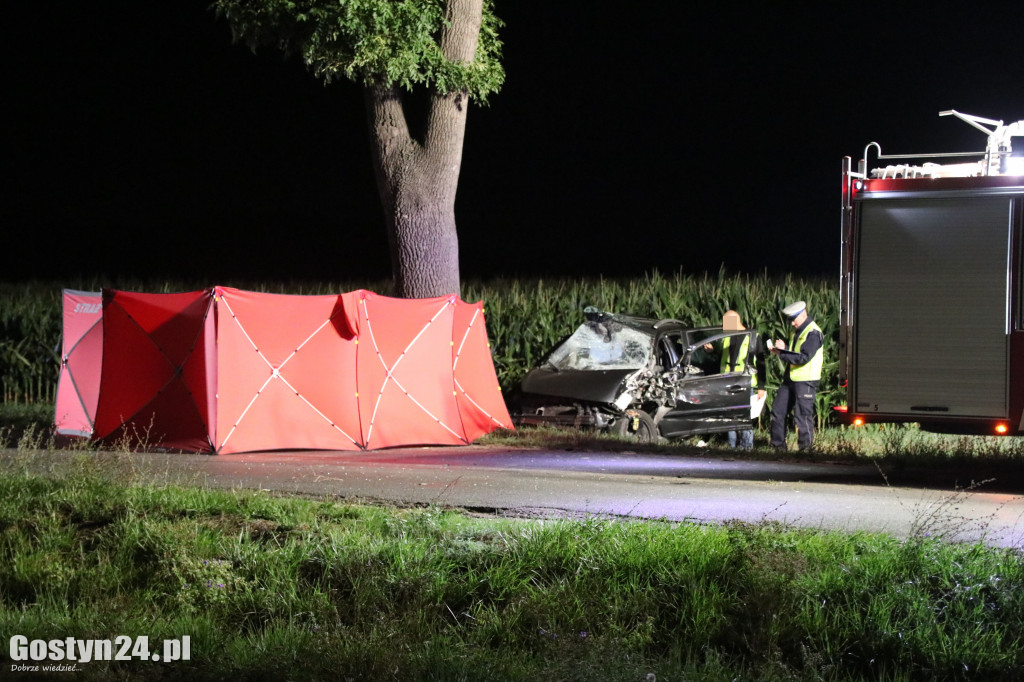 Tragiczny wypadek. Nie żyje 19-latka