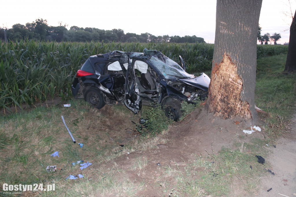 Tragiczny wypadek. Nie żyje 19-latka