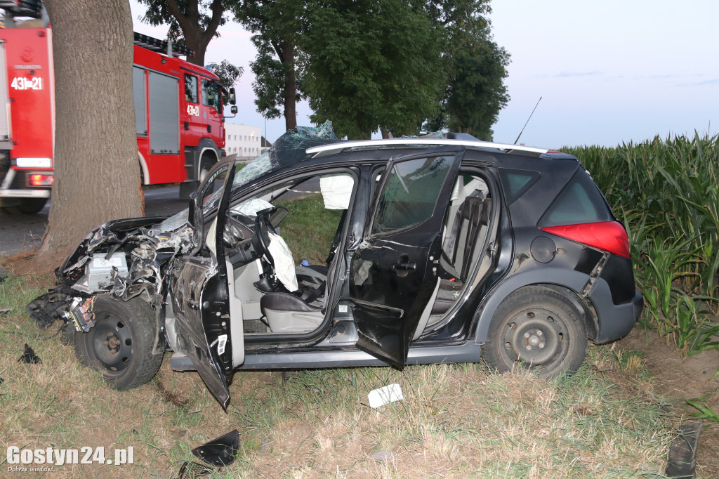 Tragiczny wypadek. Nie żyje 19-latka