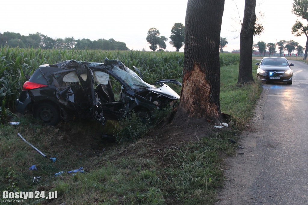 Tragiczny wypadek. Nie żyje 19-latka