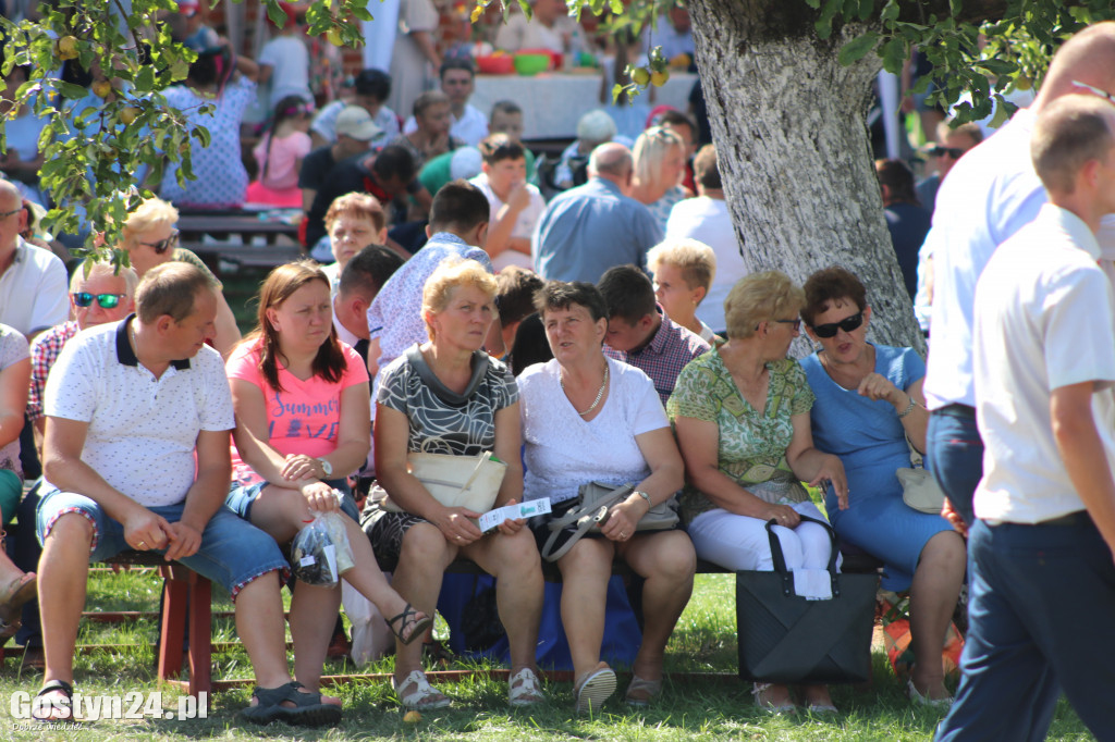 Dożynki Powiatowe na Świętej Górze 2019