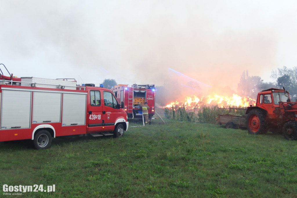 Pożar stogu z balotami w Miechcinie