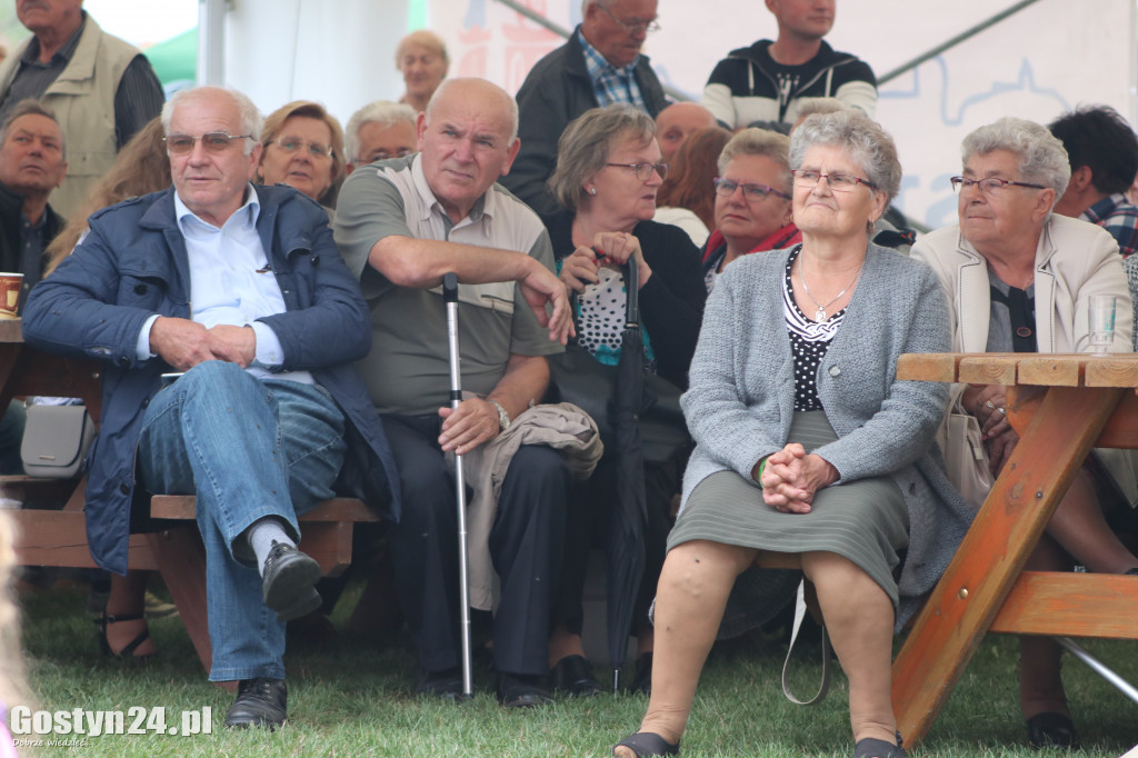 IX Festiwal Tradycji i Folkloru w Domachowie