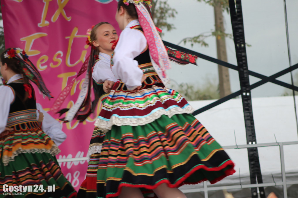 IX Festiwal Tradycji i Folkloru w Domachowie