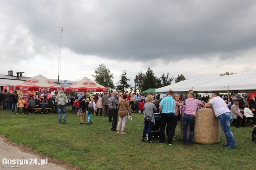 IX Festiwal Tradycji i Folkloru w Domachowie