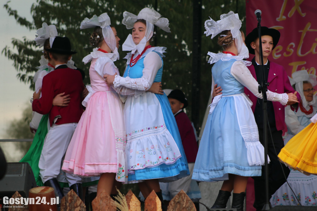 IX Festiwal Tradycji i Folkloru w Domachowie